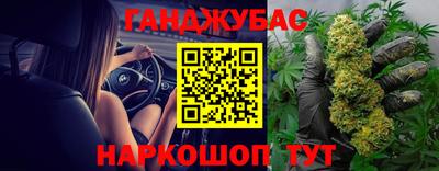 дживик Камышлов