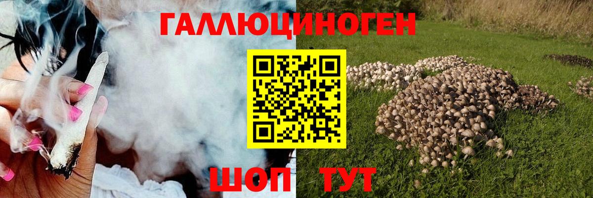 Галлюциногенные грибы Magic Shrooms Бирск