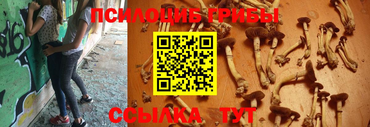 Бирск  Псилоцибиновые грибы ЛСД  Вход с VPN  Псилоцибиновые грибы GOLDEN TEACHER 
